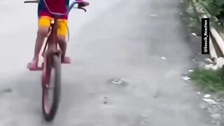 Funny videos 996