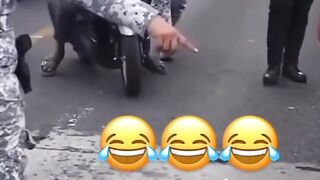 Funny videos 998