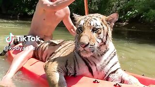 Tiger 23