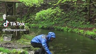 Fuji_Aquarium