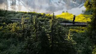 Cinematic in the mountain forest