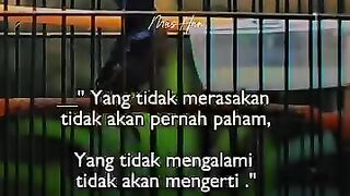 Yg tidak merasakan Tidak akan  pernah  paham,,,,,,  #kolibri #kicaumania #katakata #quetos #story