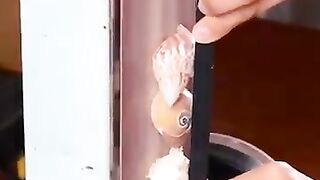 Grinding beauty from the sea