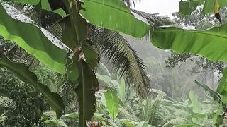 Rain Sound Sleep