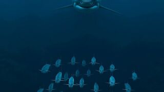 “This shark created an ESCAPE plan ????”