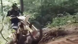 Funny videos