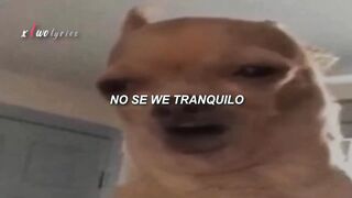 videos de risa en Febspot 4