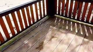 Jangan pernah kau ragukan