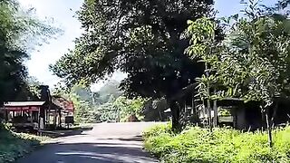 Biarkan ku pergi menyusuti jalan berliku