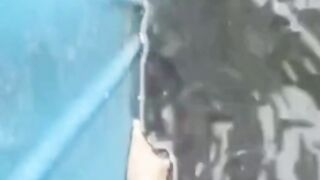 Kapan larva lele LEPAS CASUT dan makan PELET pabrikan❓