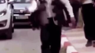 Funny videos