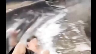 Funny videos