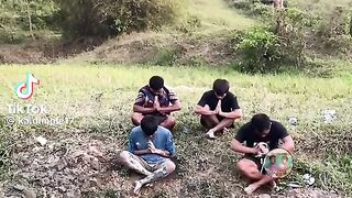 Funny videos