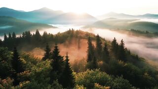 relaxation before bed, 17-second nature video that makes you fall asleep straight away, relaxation and chill out