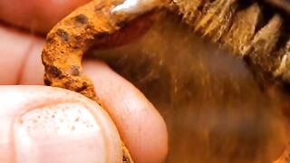 Repairing a Rusted Small Belt Buckle