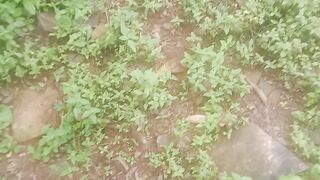 cuacane cerah