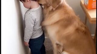 Snack Security Failed