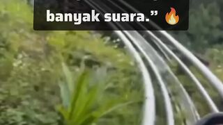 berproses