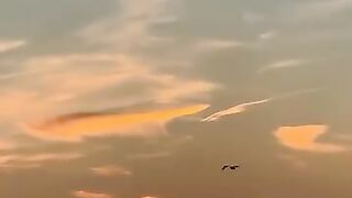 Nature’s Calm ???? | A Moment of Pure Peace