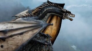 Dragon 8