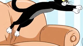 Ninja Cat 4