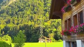 Beautiful nature 301