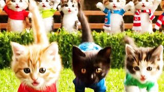 Cute kittens 13