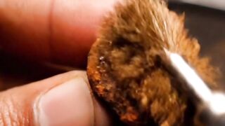 Repairing a Rusty Small Drawer Knob