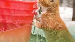 Cute water during