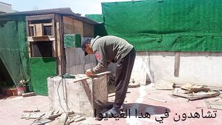 الحمام 2