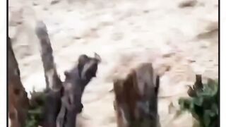 empat siswa SMAN 1 Lebong hanyut terbawa banjir