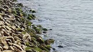 “Ombak mengajarkan, sekeras apa pun hidup menghantam, kita tetap bisa kembali berdiri.”