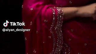 Red Fancy Sari 3