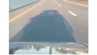 Funny videos