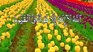 Wonderful Flowers View #explore #nature #flowers #fblifestyle ????????