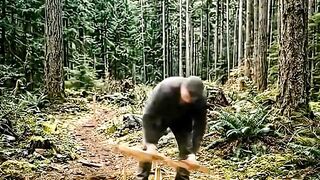 Building an Eco Dome Hut in the Forest (Survival Shelter Build) Full Timelapse Construction
