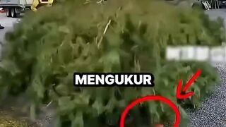 Sudah ada yang pernah mencobanya ?