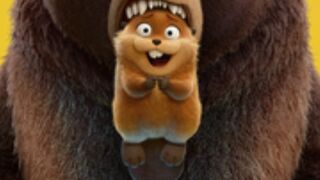 Hoppers