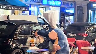 The chef rat on restaurant