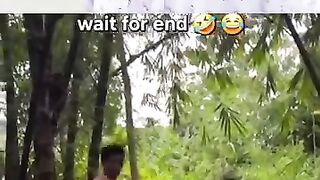 Funny videos