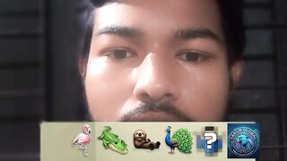 Guess the animal