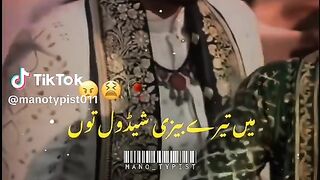 Beautiful Panjabi Song 4