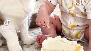 Baby And Cat Stroy