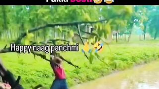 Funny videos