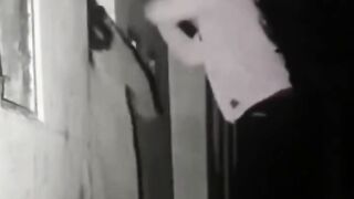 Funny videos