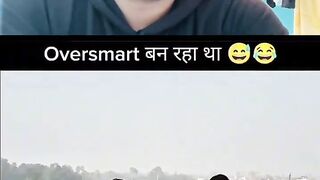 Funny videos