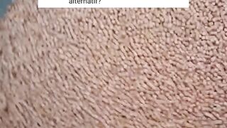AWAS❗Jangan salah pilih PAKAN PELET