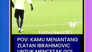 zlatan ibrahimovic