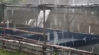Obat ikan lele AMPUH harga MURAH siap mengobati berbagai PENYAKIT ikan lele