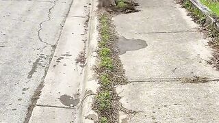 Clean up the neighborhood where i live